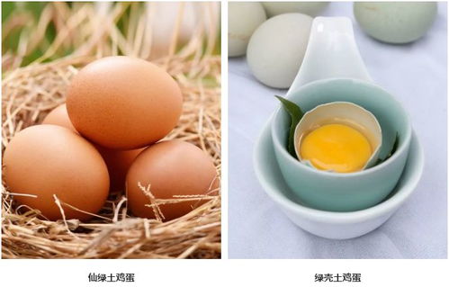 年味里的仙居 1月28日，臺創園邀你赴一場鄉土之約